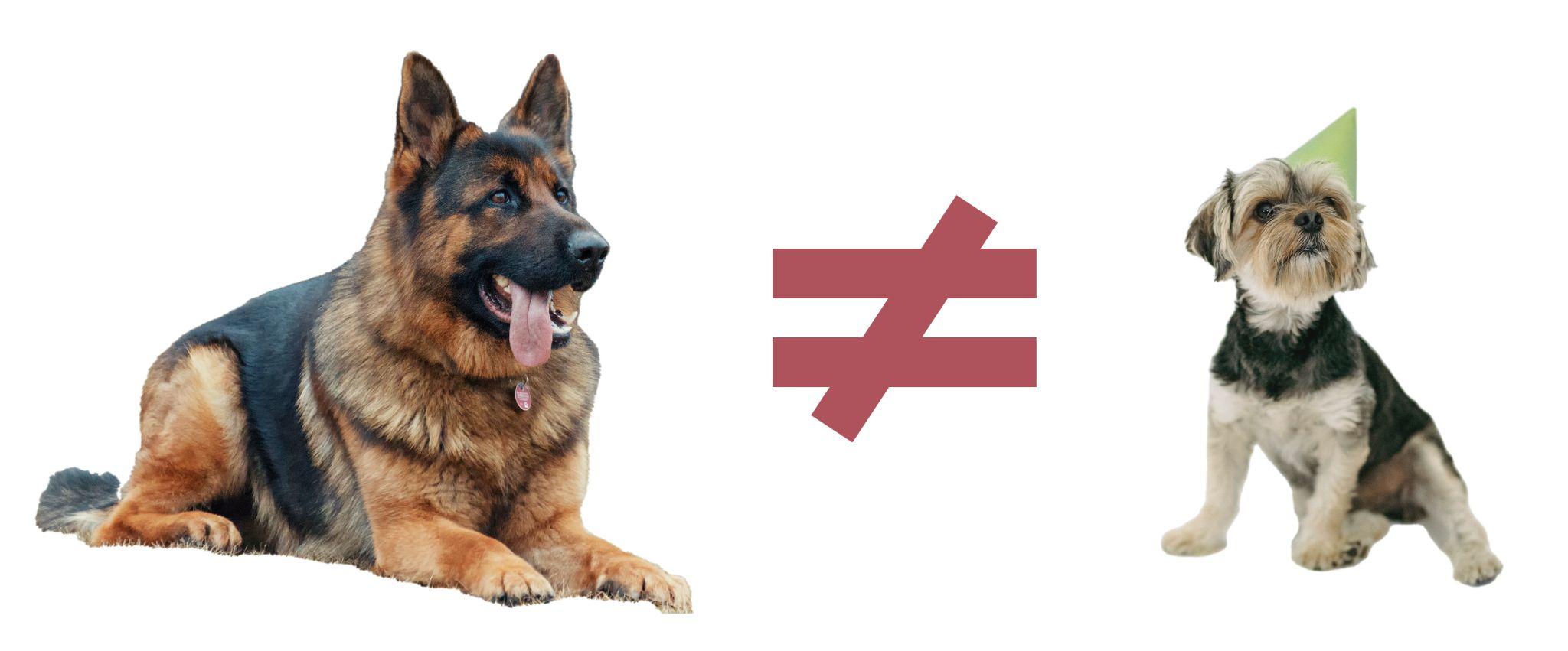 Image of two different kinds of dog breeds with a “not equal to” sign between them.