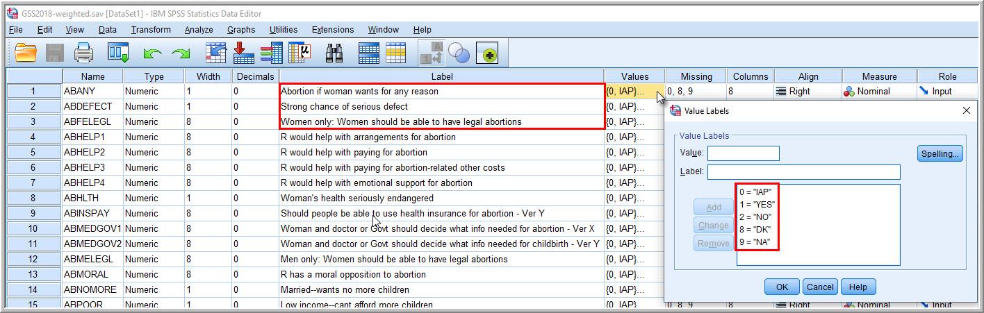 Screenshot of the SPSS Variable View window showing the value labels for the variable ABANY.