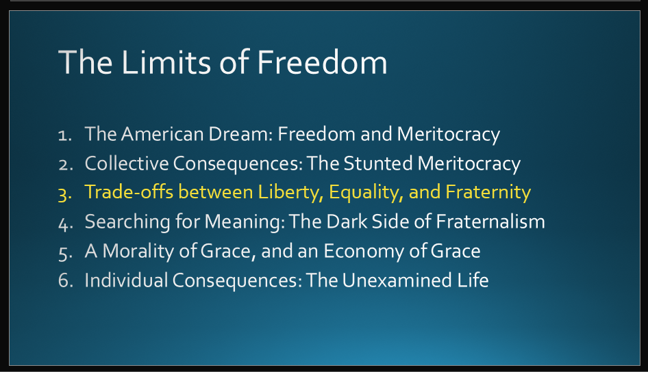 Slides with the outline of the talk “The Limits of Freedom,” with one section highlighted, and a diagram depicting “Types of Morality,” with one type highlighted.