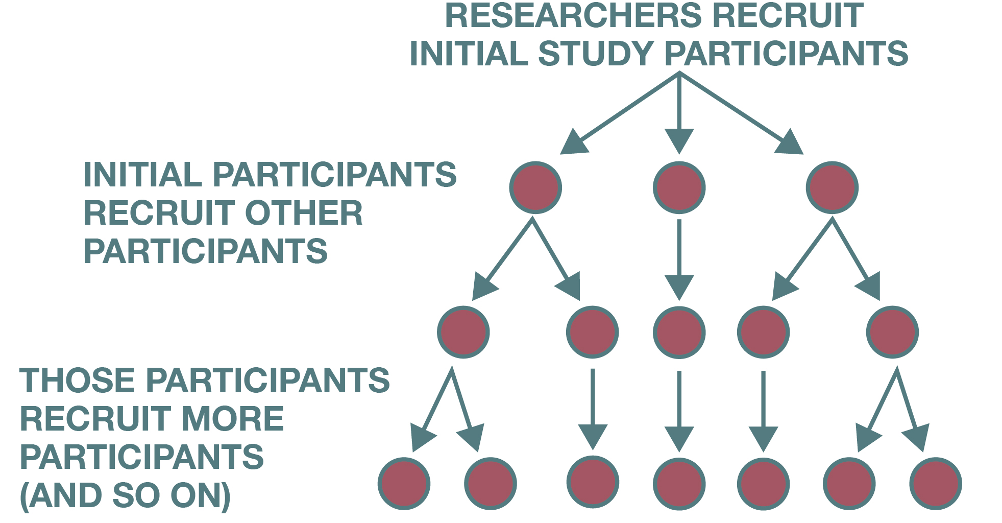 Diagram that illustrates the chain referrals that characterize snowball sampling.