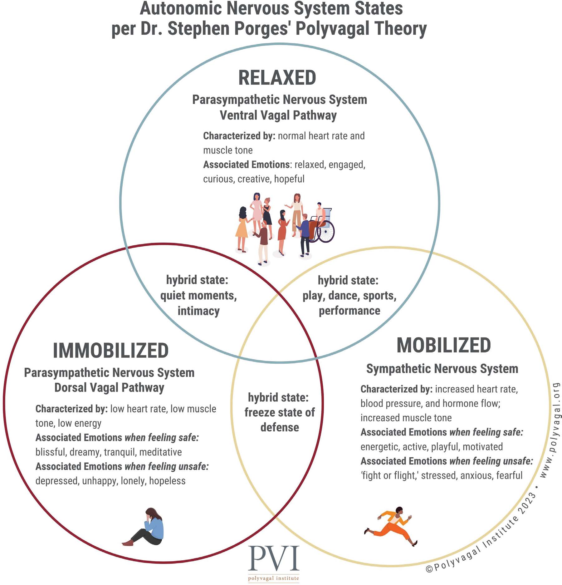 The autonomic nervous system includes three core states with different emotional and physical characteristics.