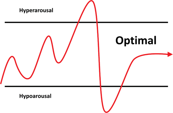 The shifts in arousal levels over time move between three zones: hypoarousal, where energy and responsiveness are low; hyperarousal, where activity and alertness are excessively high; and the optimal zone, where balance is maintained.