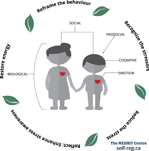 Five self-regulation steps include reframing behavior, recognizing stressors, reducing stress, reflecting, and restoring energy.