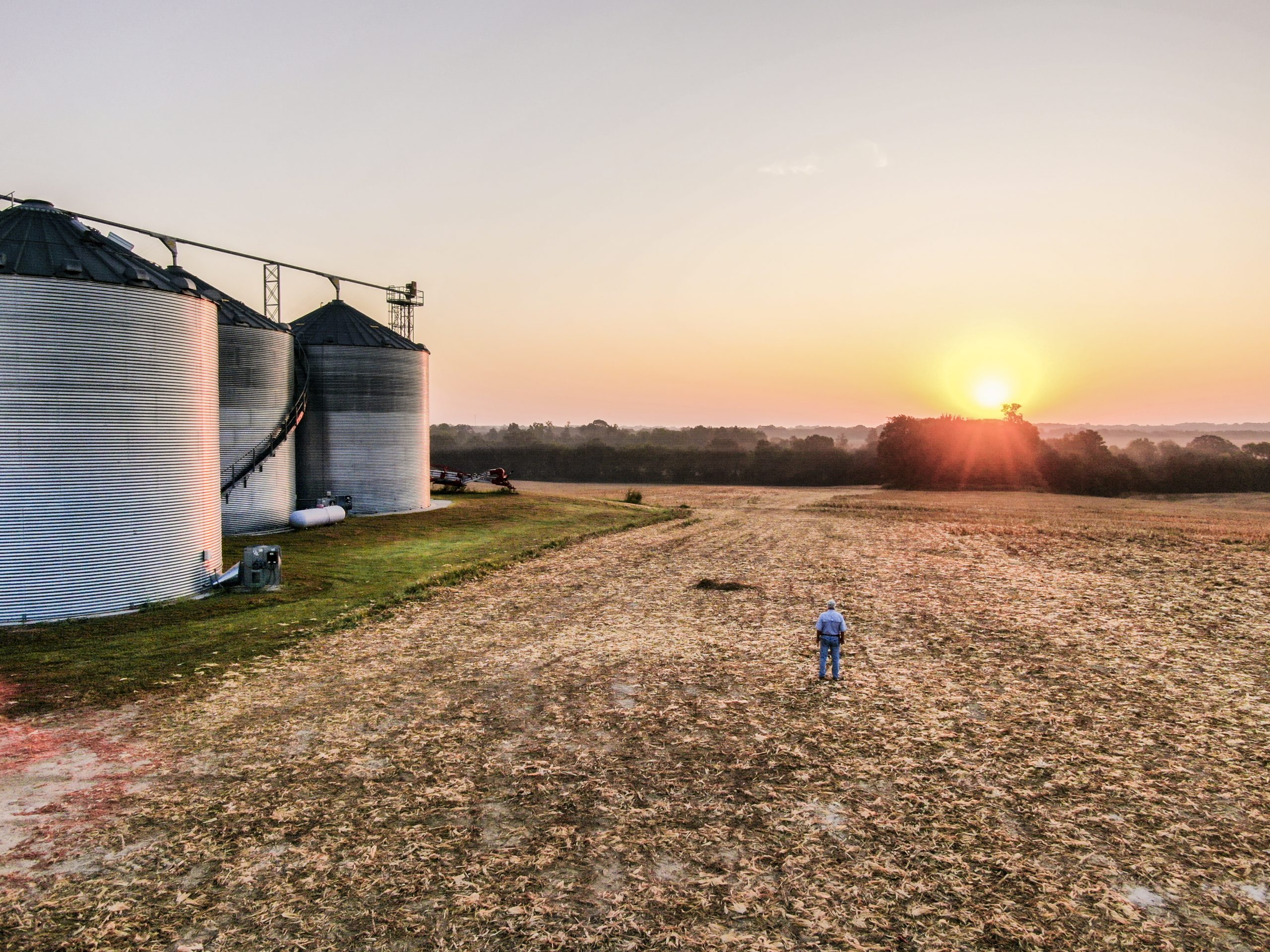 Farmer standing in the middle of a no-till farm