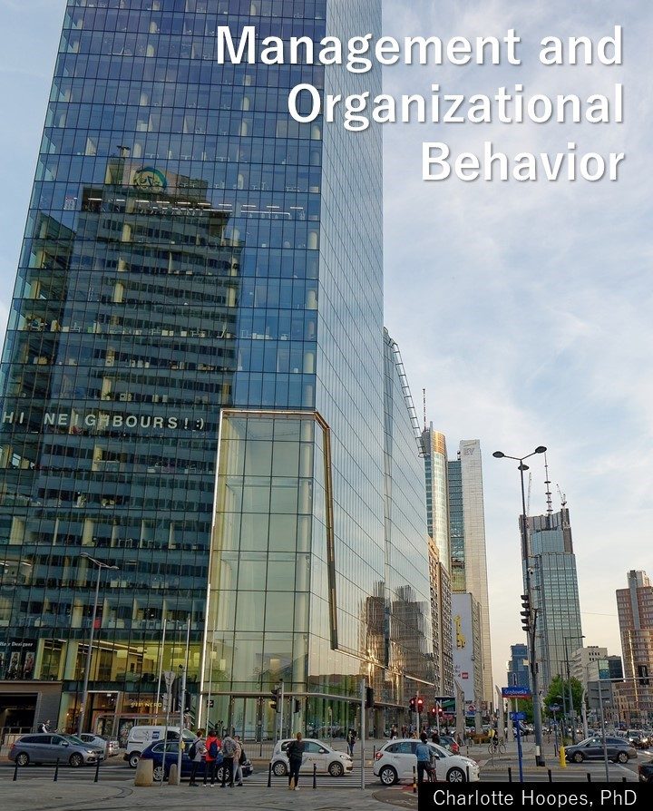 Cover image for Management and Organizational Behavior