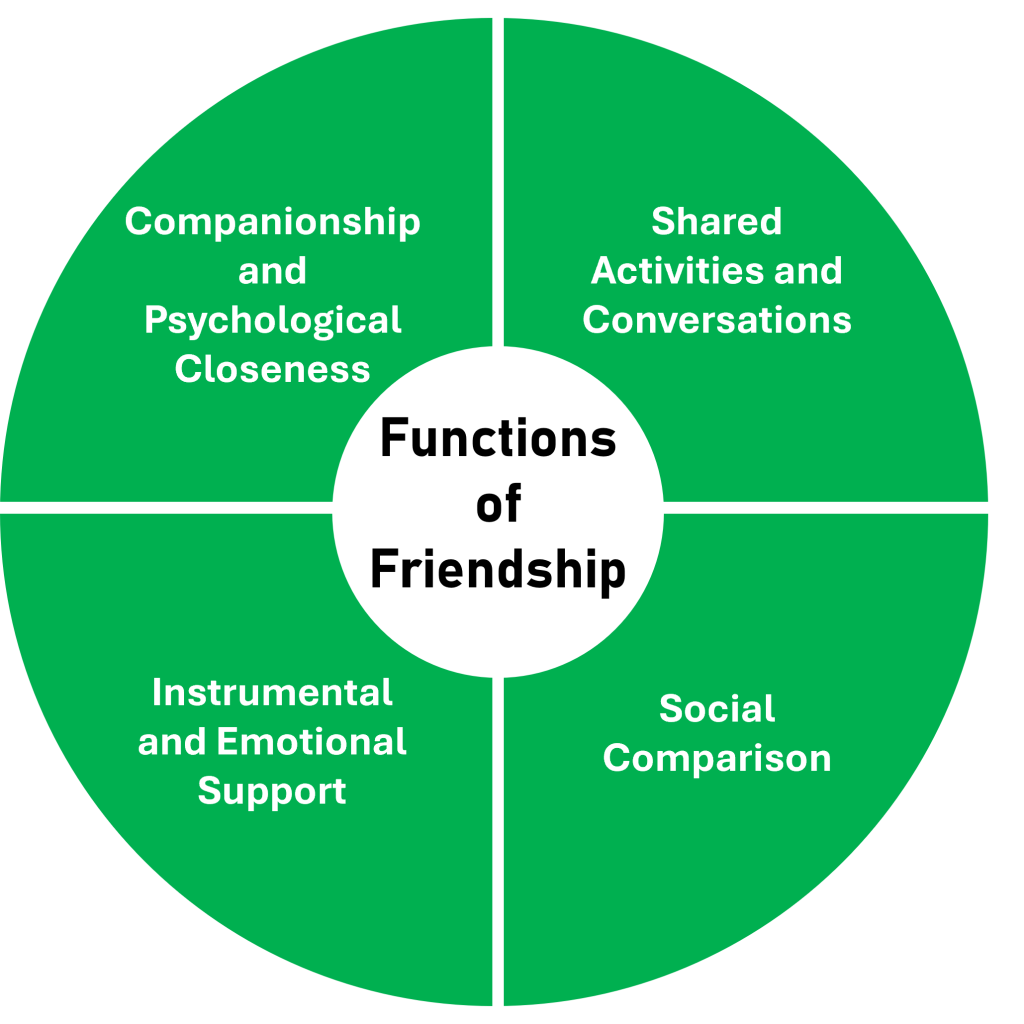 A circle depicting 4 functions of friendships: companionship and psychological closeness, shared activities and conversations, social comparison, and instrumental and emotional support.