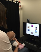 Infant looking at a monitor with pictures on it during a research study.