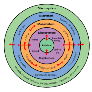 Diagram of Bronfenbrenner’s Ecological Systems Theory, showing an individual at the center surrounded by four nested, concentric circles representing different environmental systems. The innermost circle is the Microsystem, including immediate relationships like family and school. The next layer is the Mesosystem, showing interactions between elements of the microsystem. The Exosystem includes broader influences like parents’ workplaces and community services. The Macrosystem represents cultural values, laws, and customs. Arrows illustrate how each system influences the child’s development.