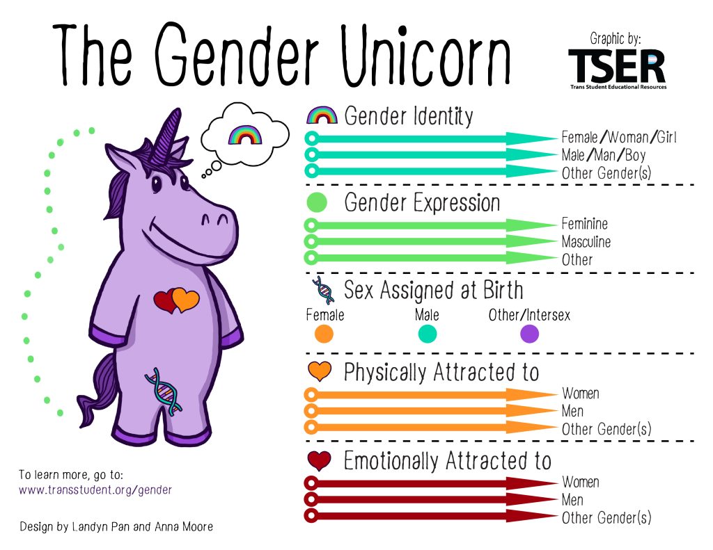 An infographic titled 'The Gender Unicorn' featuring a cartoon unicorn with labeled arrows pointing to different aspects of gender and sexuality. The categories include: 'Gender Identity' (female/male/other gender(s)), 'Gender Expression' (feminine/masculine/other), 'Sex Assigned at Birth' (female/male/other/intersex), 'Physically Attracted To' (men/women/other gender(s)), and 'Emotionally Attracted To' (men/women/other gender(s)). Each category is represented with a color-coded scale or spectrum, emphasizing that these aspects exist independently and on a continuum.