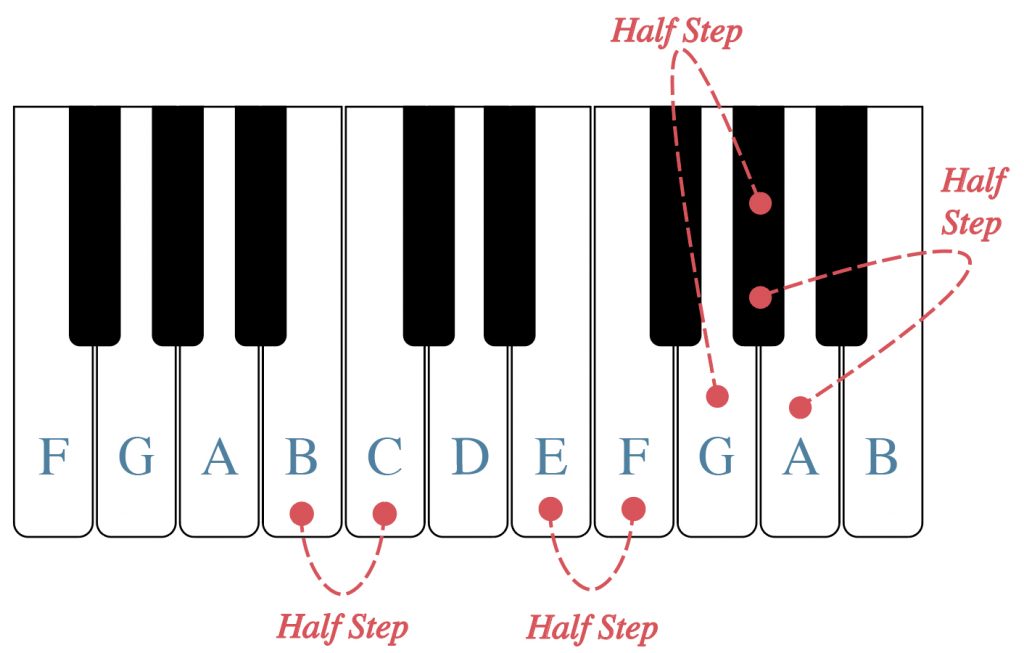 Half Steps And Whole Steps Worksheet