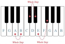 Half Steps, Whole Steps, and Accidentals – Open Music Theory