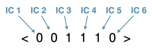 the IC vector <001110>, with arrows pointing to each digit in the vector and labelling them IC 1, IC 2, IC 3, IC 4, IC 5, and IC 6.