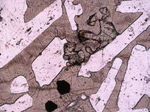 Figure 2.6.11. Subhedral plagioclase (white) and anhedral clinopyroxene (brown-green) and olivine (brown-green, high relief) in a gabbro, 100x total magnification.