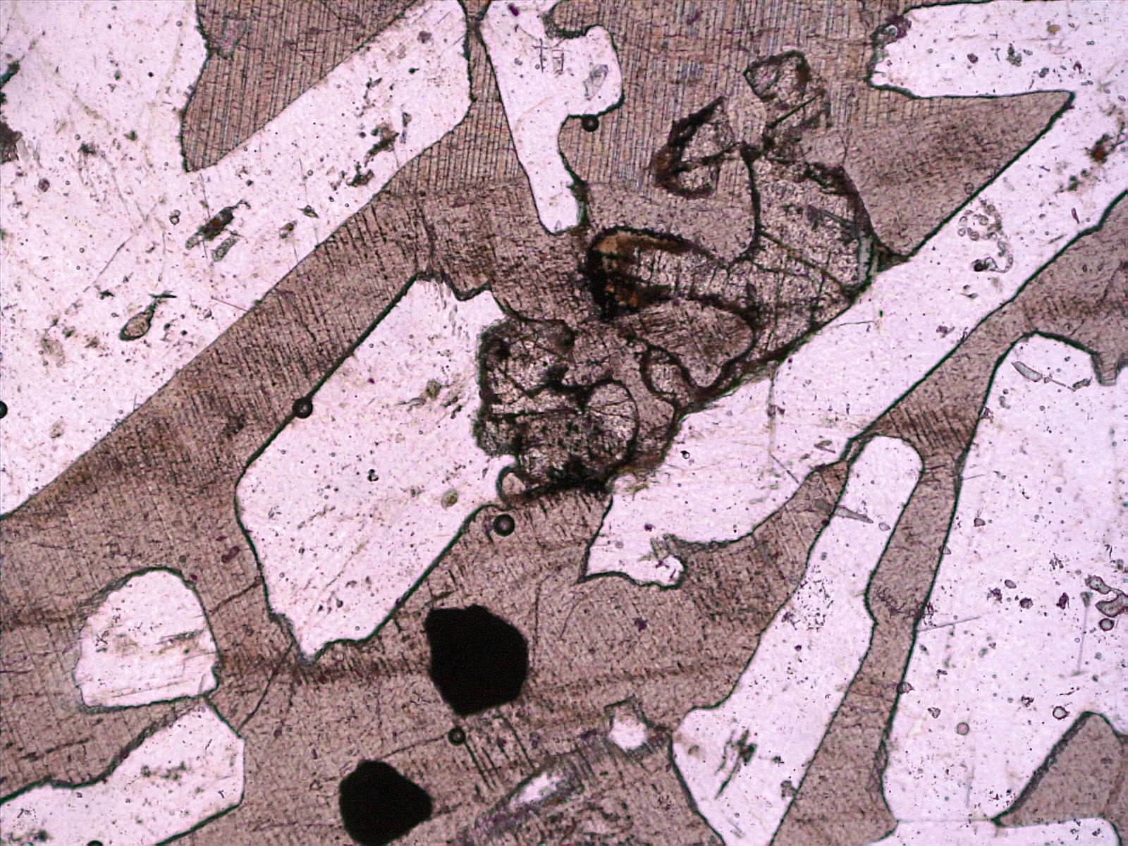 2.6 Properties Under Plane Polarized Light Introduction to Petrology