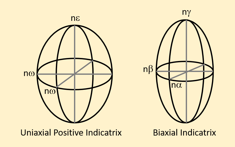 Figure 2.8.4.  Examples of a uniaxial indicatrix and a biaxial indicatrix.  The indices of refraction are plotted parallel to the vibration direction of light.