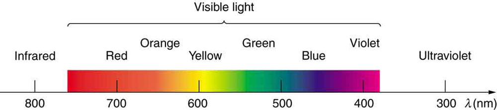 Figure 3.2.4. The visible light spectrum, showing wavelength ranges for colors in nanometers.