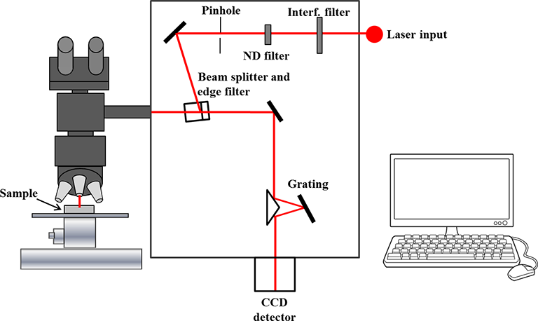 Diagram showing the parts of the Raman spectrometer.