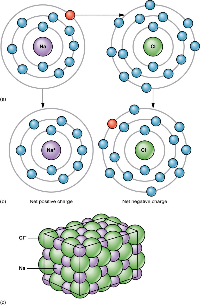 Chapter 2 The Chemical Level of Organization – Anatomy and Physiology ...