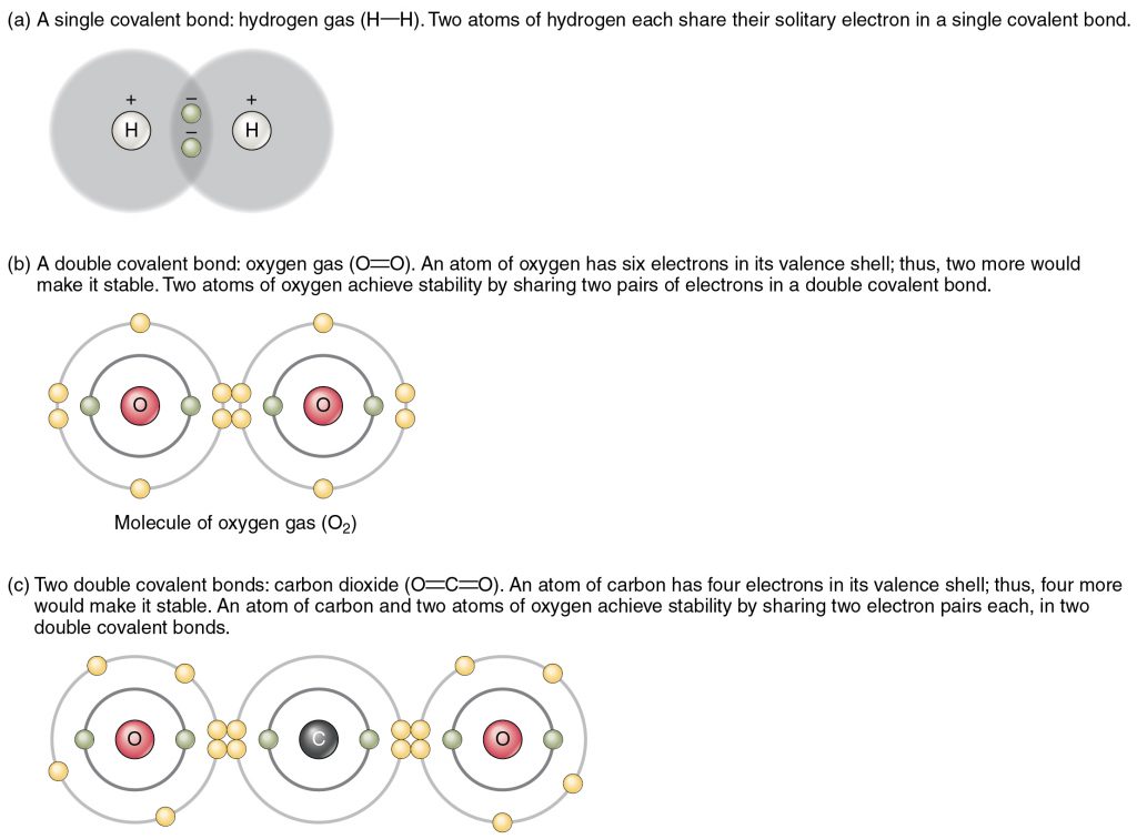 Covalent bonding examples