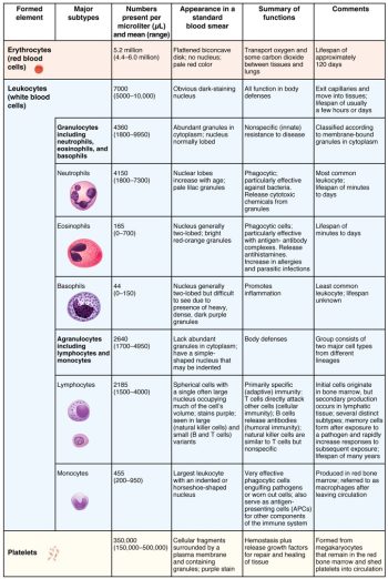 Chapter 18 The Cardiovascular System: Blood – Anatomy and Physiology ...