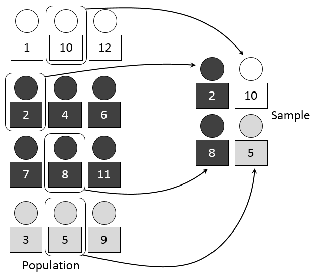 Selecting a proportion of black, grey, and white students from a population into a sample
