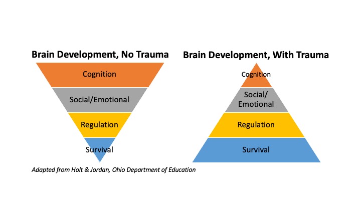 Pyramids show the inverse relationship between brain development without and with trauma.