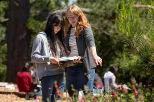 A high school student is outside with her teacher, examining a plant.