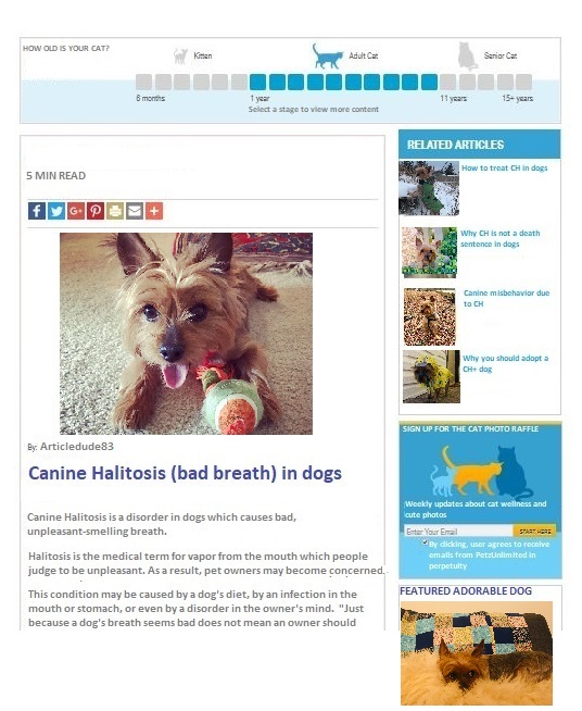example of website on Canine Halitosis