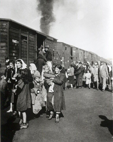 image of Polish Jews (mostly women, children, and the elderly) beside train cars.