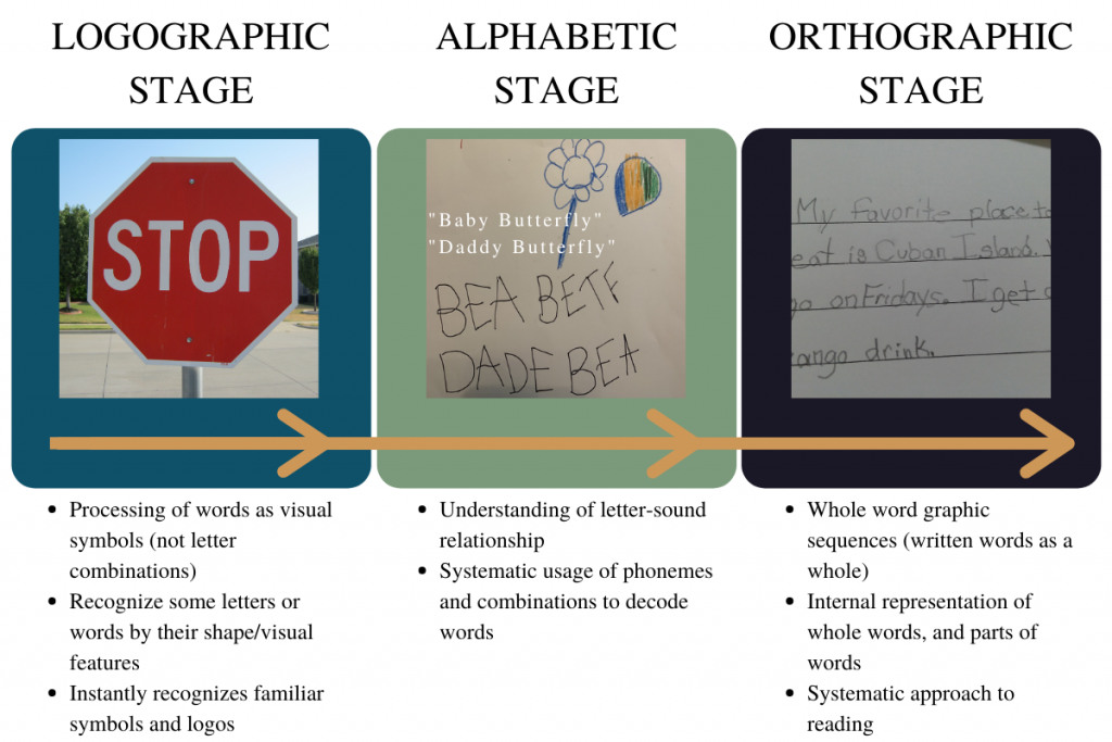 Three images from left to right. First image: A STOP sign is in the road. Second image: Child's writing has a drawing of a flower and a butterfly above capital letters BEA and BETF on one line and DADE and BEA on the next line. Third image: Child's writing with three sentences using correct spelling.