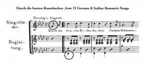 The first three measures of "Durch die bunten Rosenhecken" are shown. The first note in the highest part (the voice) is circled, as well as the first note in the lowest part (the lowest note of the piano).