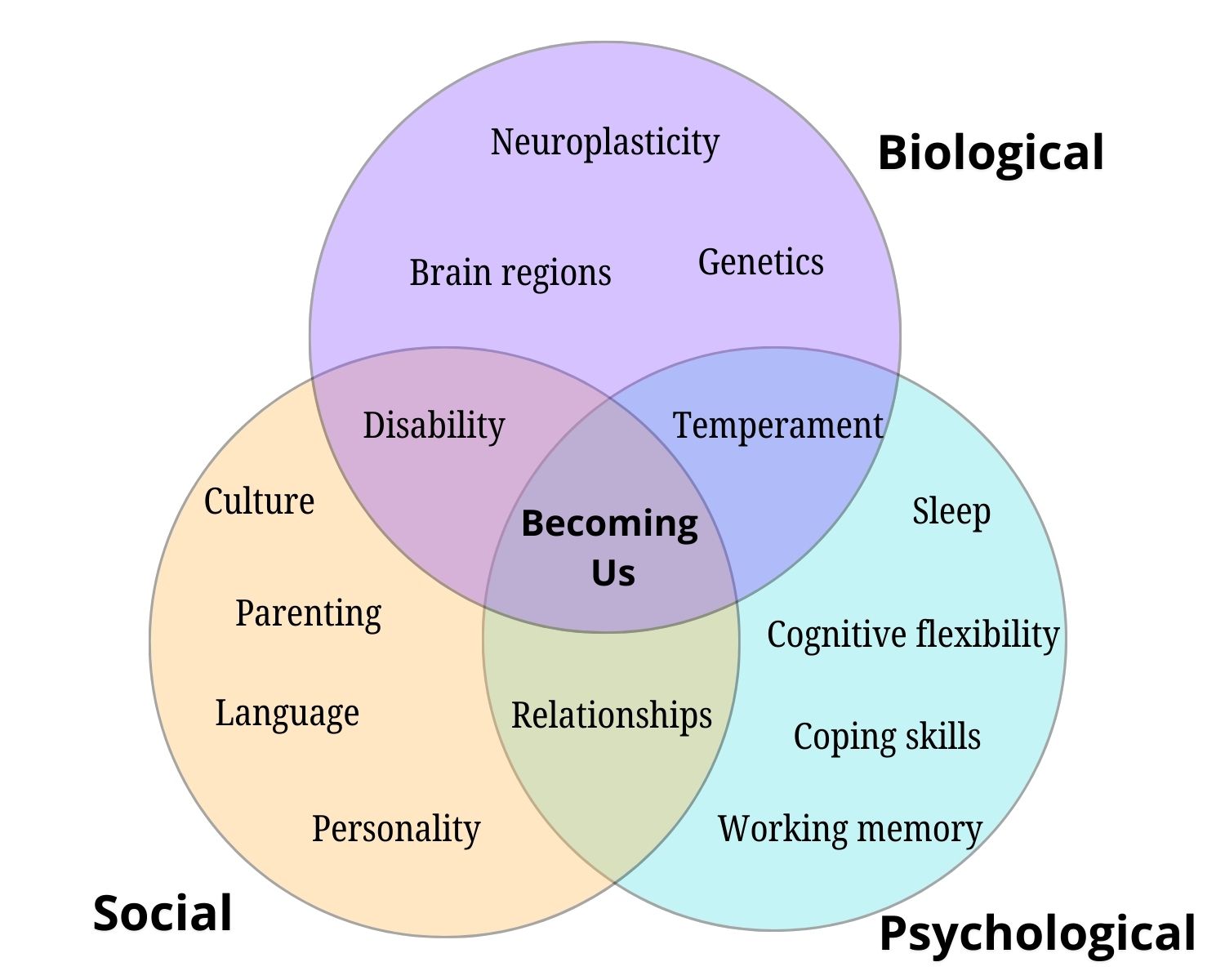 Three overlapping circles. In the center where all three overlap, it says "Becoming us." The Biological circle includes neuroplasticity, brain regions, genetics. Social includes culture, parenting, language, personality. Psychological includes sleep, cognitive flexibility, coping skills, working memory. In the overlap of Biological and Social, it reads "Disability." In the overlap between Biological and Psychological, it says "Temperament" and in the overlap between Social and Psychological, it says "relationships".