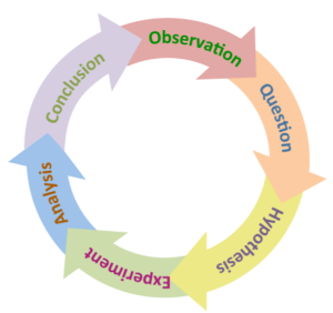 A circle diagram illustrating the steps in the scientific method