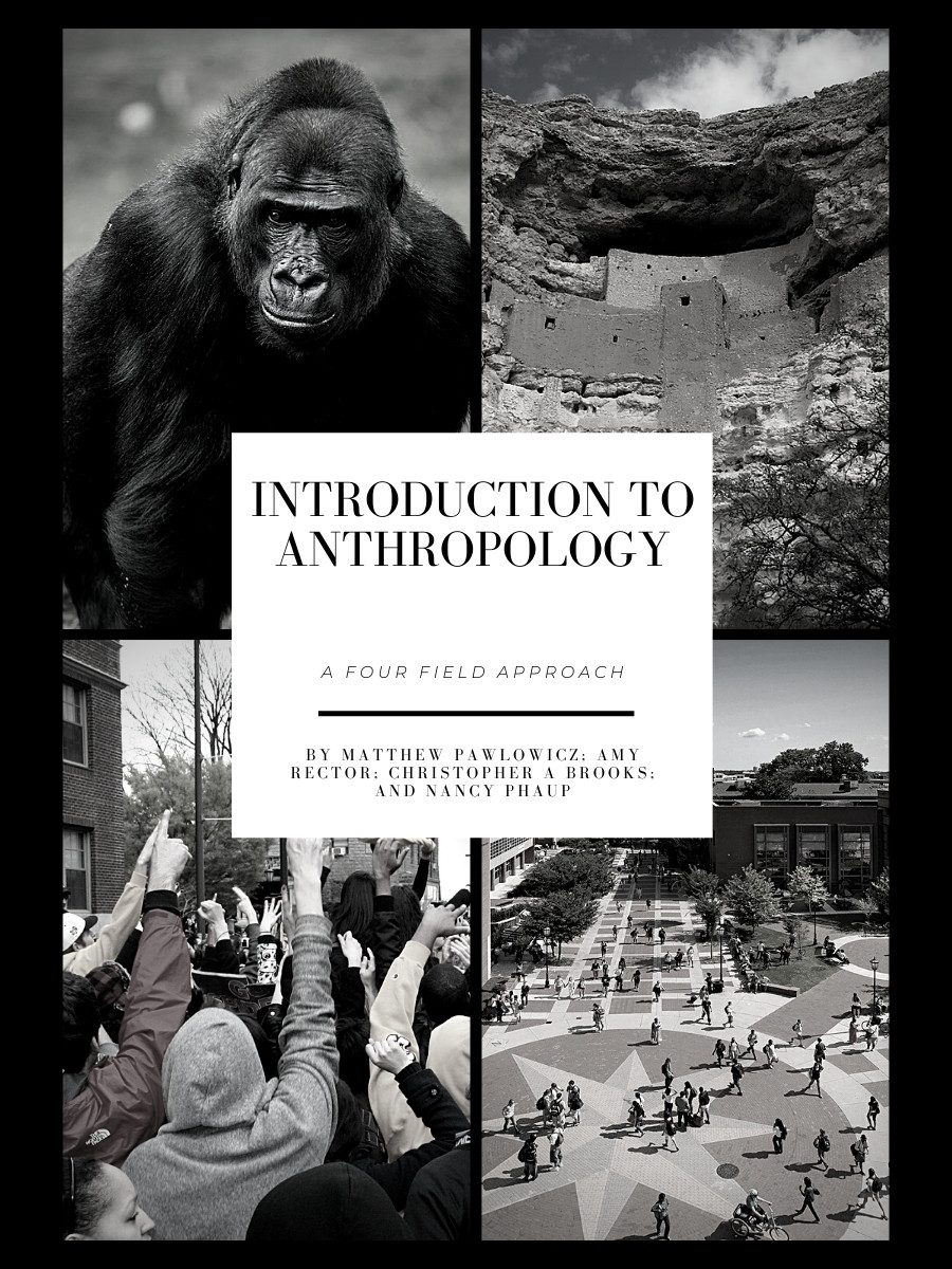 Cover image for Introduction to Anthropology: A Four Field Approach