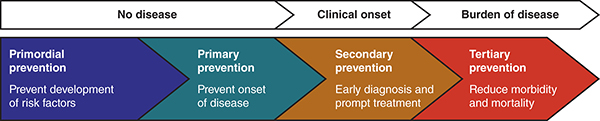 The stages of disease alignment with the four levels of prevention strategies.