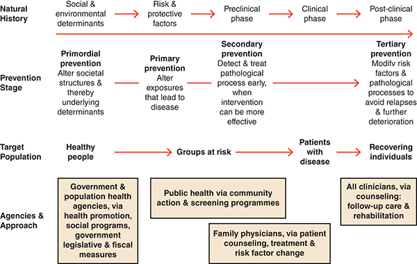 Clinical disease management along the categories of natural history, prevention stage, target population, and agencies and approaches in each stage.