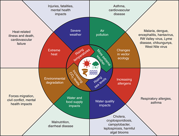 Climate change has a wide range of impacts on human health.