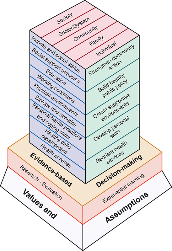 A three-dimensional block diagram represents the importance of values, assumptions, evidence-based practice, and decision-making for community health nurses in addressing S D O H.