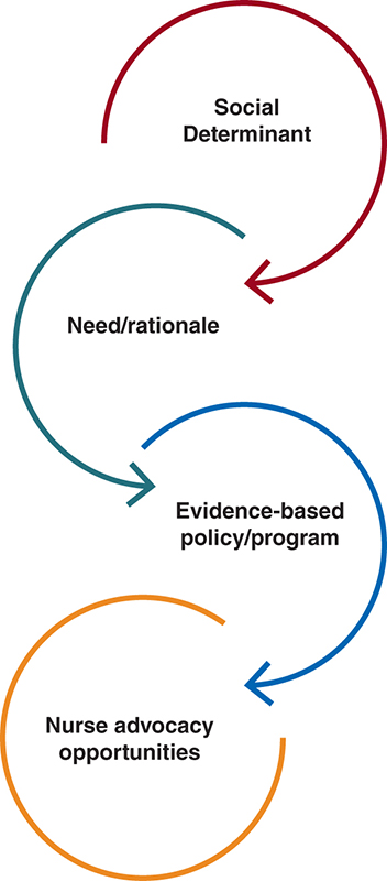 A social determinant leads to need or rationale, which leads to evidence-based policy or program, which results in nurse advocacy opportunities.