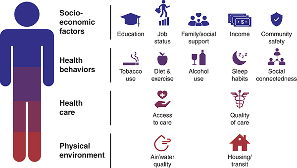 The factors influencing a person's health are classified into socio-economic factors, health behaviors, healthcare, and physical environment.