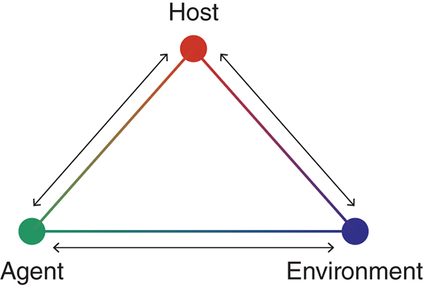 The epidemiologic triangle shows the terms host, agent, and environment at the vertices of the triangle. Bidirectional arrows indicate the interaction between the factors.