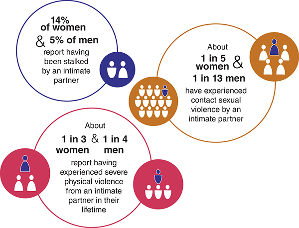 Intimate partner violence statistics on stalking, sexual violence, and severe physical violence.