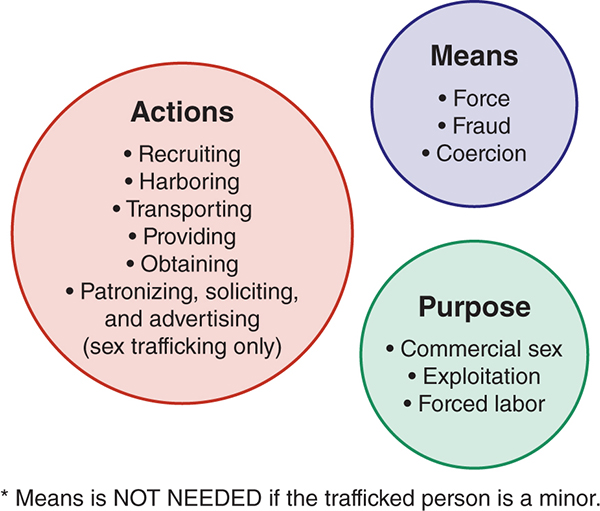 The A M P model of human trafficking describes the actions, means, and purpose.