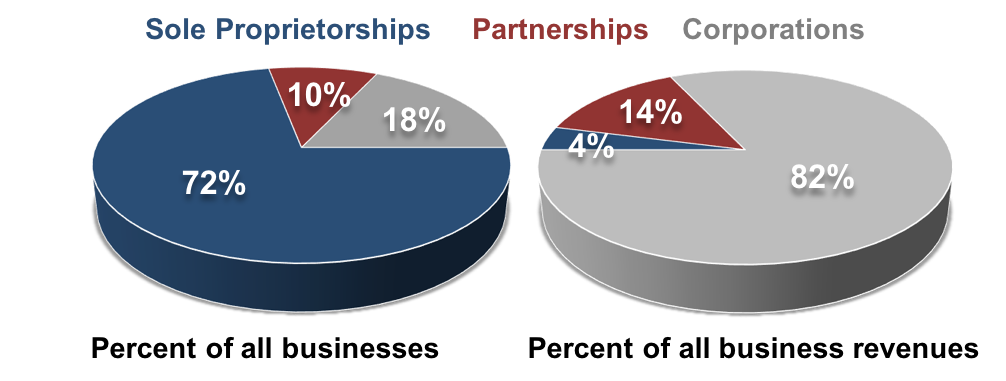 Sole Proprietorship Chart