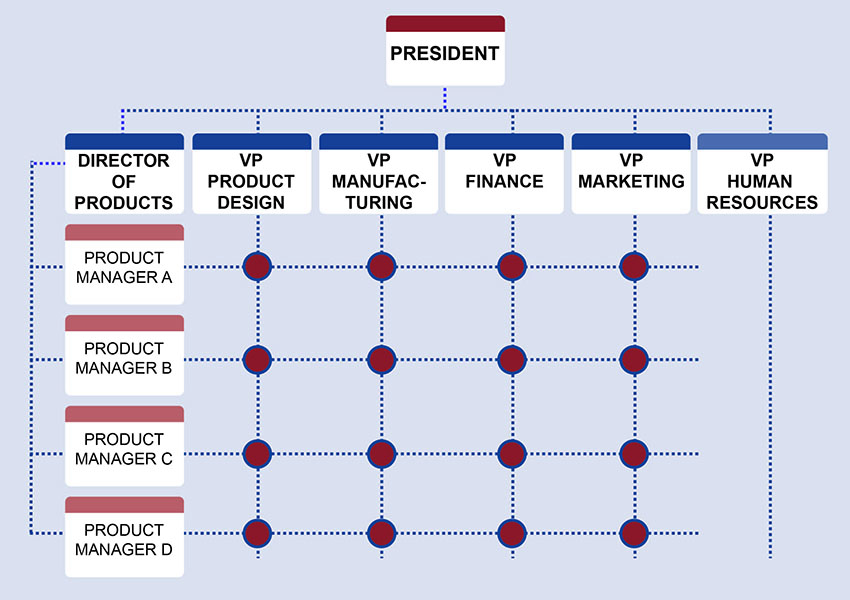 A matrix structure showing employee relationships within an organization, connected by dotted lines. The first tier contains the president. Under the president in the second tier are six individuals: the Director of Products, the VP of Product Design, the VP of Manufacturing, the VP of Finance, the VP of Marketing, and the VP of Human Resources. Under the Director of Products are Product Managers A, B, C, and D. From each Product Manager, a dotted line connects them to each VP except the VP of Human Resources. A dotted line also connects them to each other. At each connection point is a red circle to indicate connection.