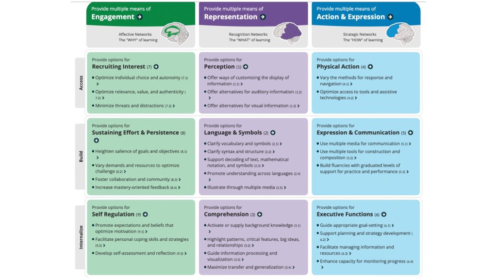 UDL involves providing multiple means of engagement, representation, and action and expression in order to provide opportunities for students to access, build, and internalize their learning.