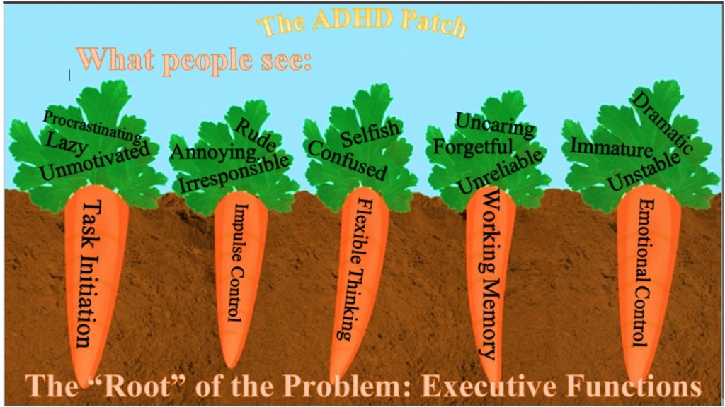 A carrot patch is used as a metaphor for ADHD. At the surface (the greens), people see characteristics and actions such as procrastinating, laziness, rudeness, irresponsibility, selfishness, forgetfulness, and immaturity. The "root" of the carrot (the orange part below ground) is task initiation, impulse control, flexible thinking, working memory, and emotional control.