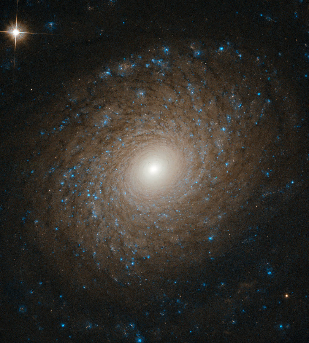 Galaxies come in many shapes and sizes. One of the key galaxy types we see in the Universe is the spiral galaxy, as demonstrated in an especially beautiful way by the subject of this Hubble Picture of the Week, NGC 2985. NGC 2985 lies roughly over 70 million light years from the Solar System in the constellation of Ursa Major (The Great Bear). The intricate, near-perfect symmetry on display here reveals the incredible complexity of NGC 2985. Multiple tightly-wound spiral arms widen as they whorl outward from the galaxy’s bright core, slowly fading and dissipating until these majestic structures disappear into the emptiness of intergalactic space, bringing a beautiful end to their starry splendour. Over aeons, spiral galaxies tend to run into other galaxies, often resulting in mergers. These coalescing events scramble the winding structures of the original galaxies, smoothing and rounding their shape. These objects possess a beauty all their own, distinct from the spiral galaxies from whence they came.